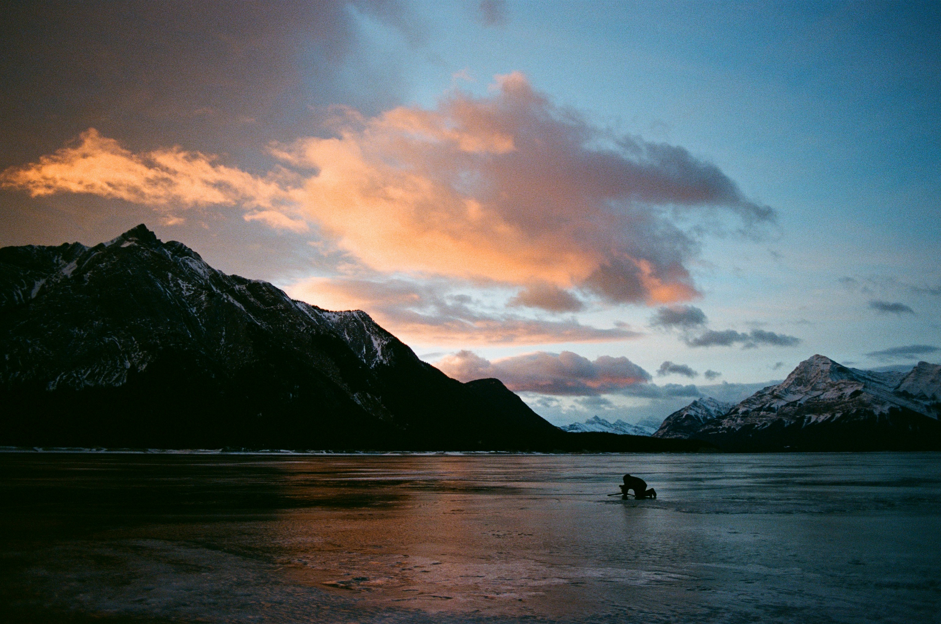 【社区扶持】西鹤软件：提供美/新地区高带宽静态建站托管服务-罗布论坛